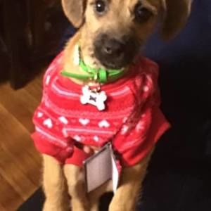 Meet your Posher, Claudia